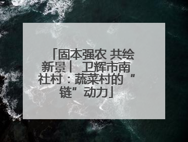 固本强农 共绘新景 ︳卫辉市南社村：蔬菜村的“链”动力