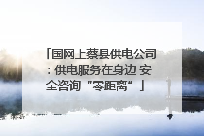 国网上蔡县供电公司：供电服务在身边 安全咨询“零距离”