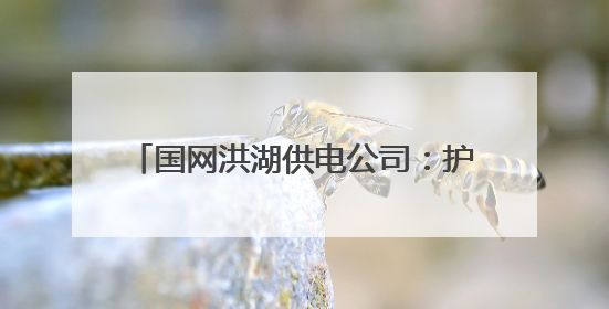 国网洪湖供电公司：护航高考路 铁军显担当