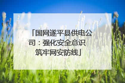 国网遂平县供电公司：强化安全意识 筑牢网安防线