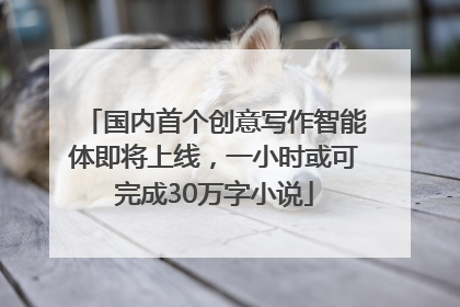 国内首个创意写作智能体即将上线，一小时或可完成30万字小说