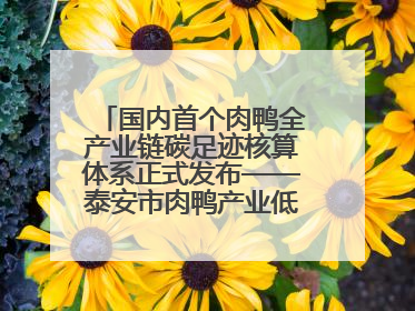 国内首个肉鸭全产业链碳足迹核算体系正式发布——泰安市肉鸭产业低碳发展标准示范项目顺利通过验收