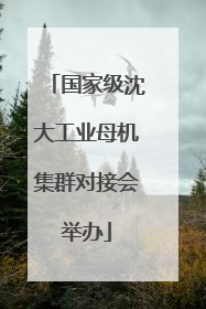 国家级沈大工业母机集群对接会举办