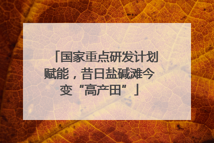国家重点研发计划赋能，昔日盐碱滩今变“高产田”