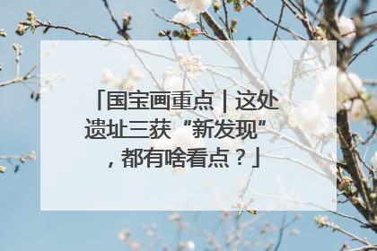 国宝画重点｜这处遗址三获“新发现”，都有啥看点？