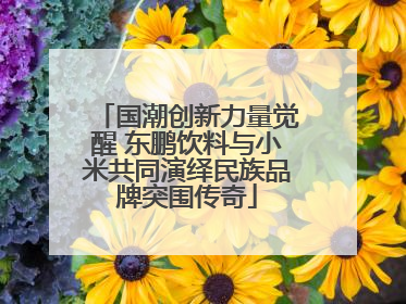 国潮创新力量觉醒 东鹏饮料与小米共同演绎民族品牌突围传奇