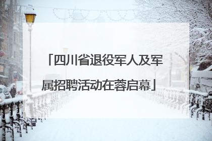 四川省退役军人及军属招聘活动在蓉启幕