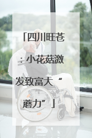 四川旺苍：小花菇激发致富大“蘑力”