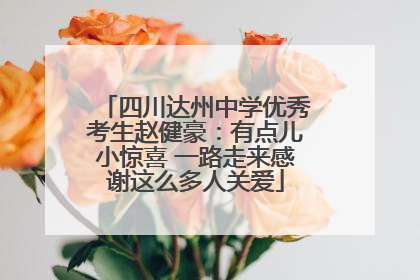 四川达州中学优秀考生赵健豪：有点儿小惊喜 一路走来感谢这么多人关爱