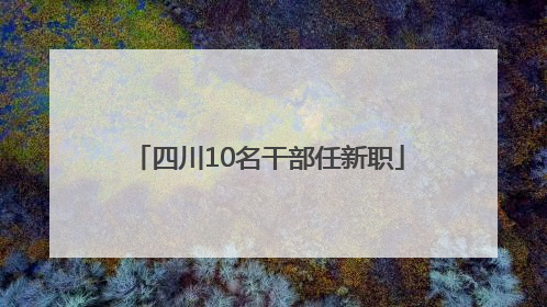 四川10名干部任新职