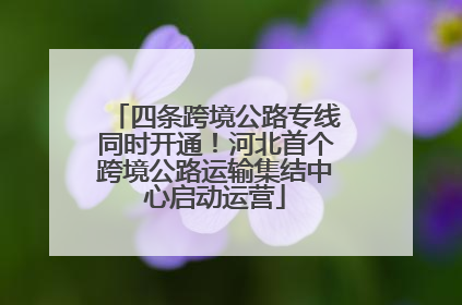 四条跨境公路专线同时开通！河北首个跨境公路运输集结中心启动运营