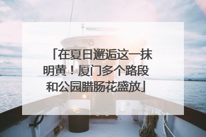 在夏日邂逅这一抹明黄！厦门多个路段和公园腊肠花盛放