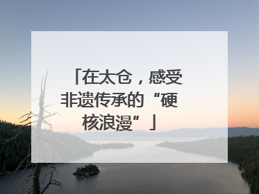 在太仓，感受非遗传承的“硬核浪漫”