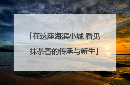 在这座海滨小城 看见一抹茶香的传承与新生