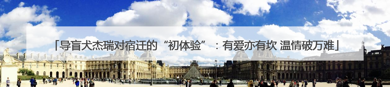 导盲犬杰瑞对宿迁的“初体验”：有爱亦有坎 温情破万难