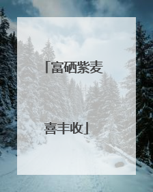 富硒紫麦喜丰收