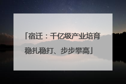 宿迁：千亿级产业培育稳扎稳打、步步攀高