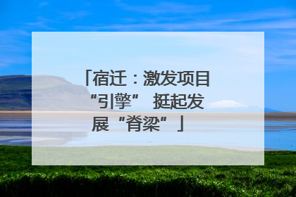 宿迁：激发项目“引擎” 挺起发展“脊梁”