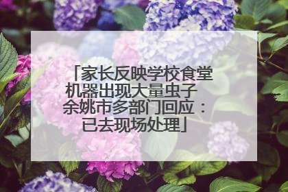 家长反映学校食堂机器出现大量虫子 余姚市多部门回应：已去现场处理