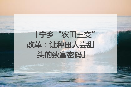 宁乡“农田三变”改革：让种田人尝甜头的致富密码