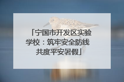 宁国市开发区实验学校：筑牢安全防线 共度平安暑假