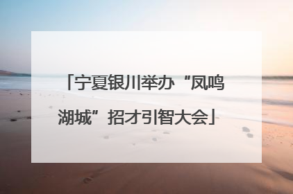 宁夏银川举办“凤鸣湖城”招才引智大会