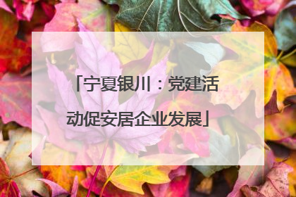 宁夏银川：党建活动促安居企业发展