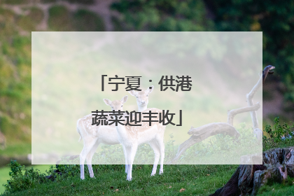 宁夏：供港蔬菜迎丰收
