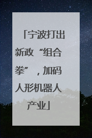 宁波打出新政“组合拳”，加码人形机器人产业