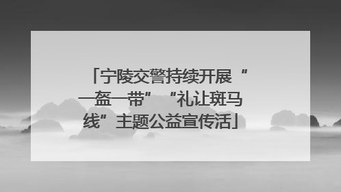 宁陵交警持续开展“一盔一带”“礼让斑马线”主题公益宣传活
