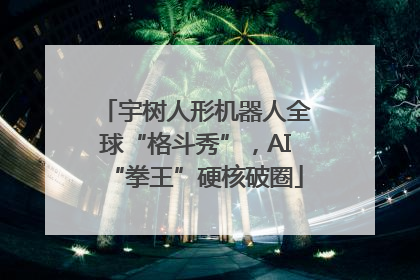 宇树人形机器人全球“格斗秀”，AI“拳王”硬核破圈