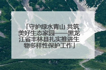 守护绿水青山 共筑美好生态家园——黑龙江省丰林县扎实推进生物多样性保护工作