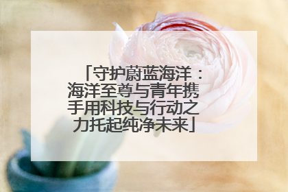 守护蔚蓝海洋：海洋至尊与青年携手用科技与行动之力托起纯净未来