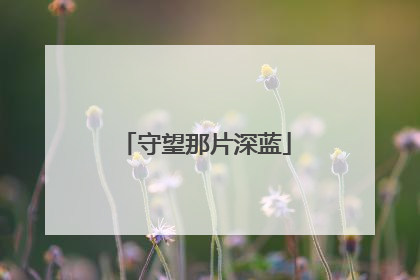 守望那片深蓝