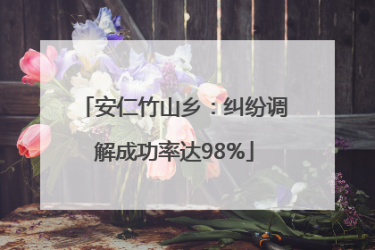 安仁竹山乡：纠纷调解成功率达98%