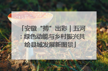 安徽“搏”出彩｜五河：绿色动能与乡村振兴共绘县域发展新图景