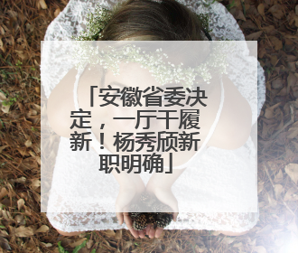 安徽省委决定，一厅干履新！杨秀颀新职明确