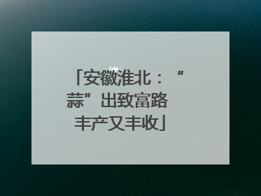 安徽淮北：“蒜”出致富路 丰产又丰收