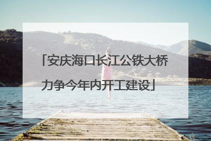 安庆海口长江公铁大桥力争今年内开工建设