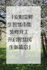 安阳菜鲜生智慧市集装修开工 开启智慧民生新篇章