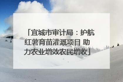 宜城市审计局：护航红薯育苗灌溉项目 助力农业增效农民增收