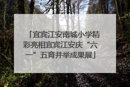 宜宾江安南城小学精彩亮相宜宾江安庆“六一”五育并举成果展