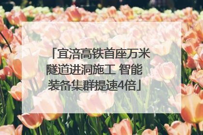 宜涪高铁首座万米隧道进洞施工 智能装备集群提速4倍