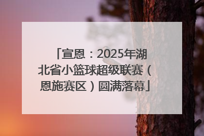 宣恩：2025年湖北省小篮球超级联赛（恩施赛区）圆满落幕