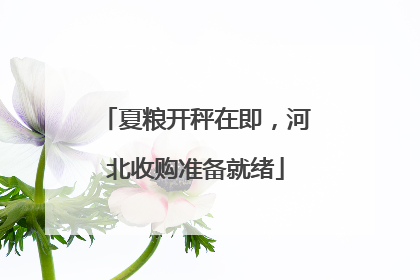 夏粮开秤在即，河北收购准备就绪