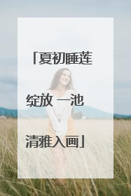 夏初睡莲绽放 一池清雅入画