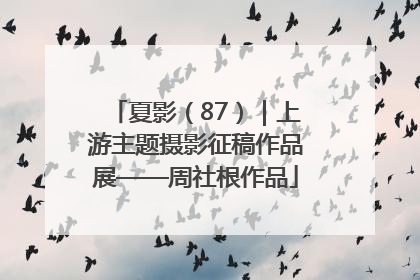 夏影（87）｜上游主题摄影征稿作品展——周社根作品