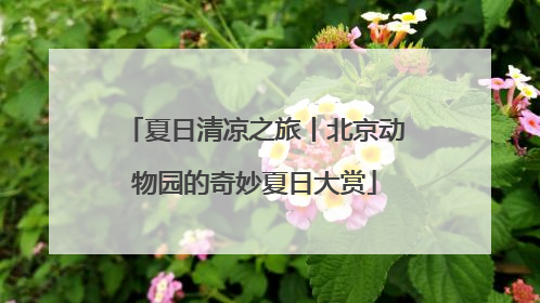 夏日清凉之旅丨北京动物园的奇妙夏日大赏