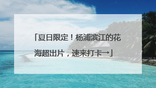 夏日限定！杨浦滨江的花海超出片，速来打卡→
