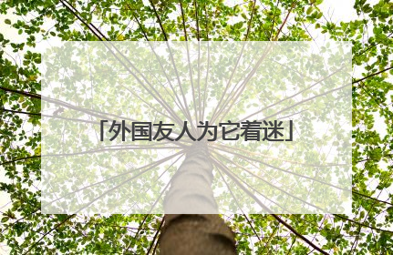 外国友人为它着迷